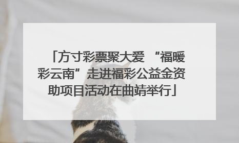 方寸彩票聚大爱 “福暖彩云南”走进福彩公益金资助项目活动在曲靖举行