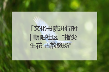 文化书院进行时｜朝阳社区“指尖生花 古韵悠扬”公益课堂开课了