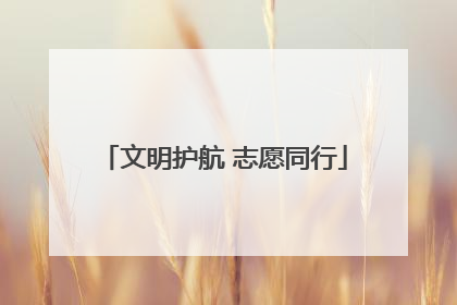 文明护航 志愿同行