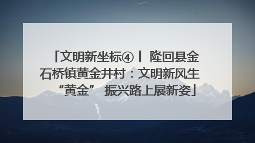 文明新坐标④丨 隆回县金石桥镇黄金井村：文明新风生“黄金” 振兴路上展新姿