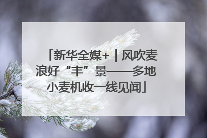 新华全媒+｜风吹麦浪好“丰”景——多地小麦机收一线见闻