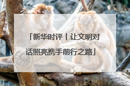 新华时评丨让文明对话照亮携手前行之路