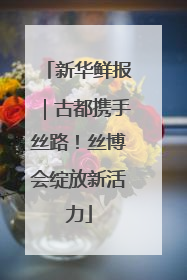 新华鲜报｜古都携手丝路！丝博会绽放新活力