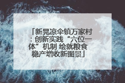 新晃凉伞镇万家村：创新实践“六位一体”机制 绘就粮食稳产增收新图景