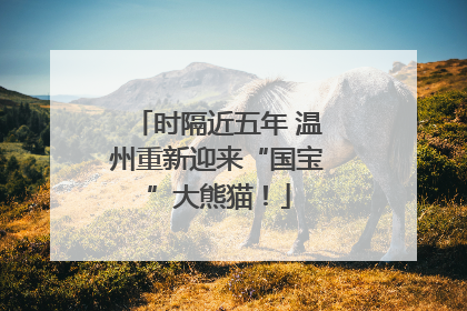 时隔近五年 温州重新迎来“国宝”大熊猫！