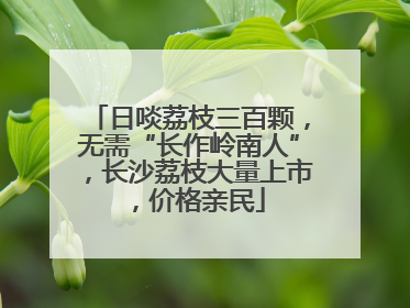 日啖荔枝三百颗，无需“长作岭南人”，长沙荔枝大量上市，价格亲民