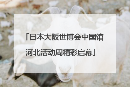 日本大阪世博会中国馆河北活动周精彩启幕