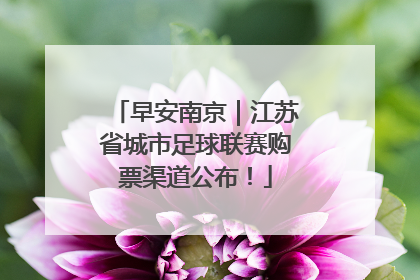 早安南京｜江苏省城市足球联赛购票渠道公布！