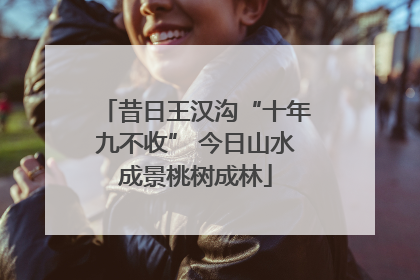昔日王汉沟“十年九不收” 今日山水成景桃树成林