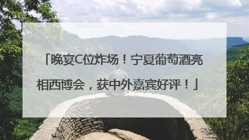 晚宴C位炸场！宁夏葡萄酒亮相西博会，获中外嘉宾好评！