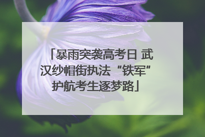 暴雨突袭高考日 武汉纱帽街执法“铁军”护航考生逐梦路