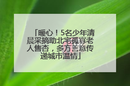 暖心！5名少年清晨采摘助北宅孤寡老人售杏，多方善意传递城市温情