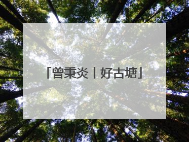 曾秉炎丨好古塘