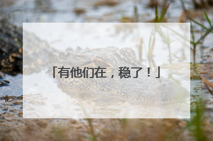 有他们在，稳了！