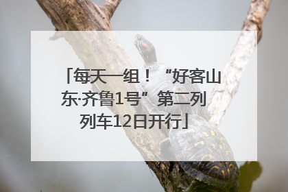 每天一组！“好客山东·齐鲁1号”第二列列车12日开行