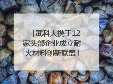 武科大携手12家头部企业成立耐火材料创新联盟