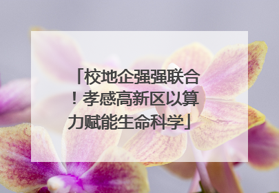 校地企强强联合！孝感高新区以算力赋能生命科学