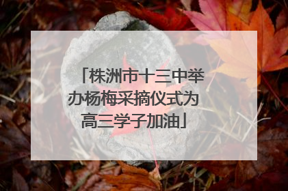 株洲市十三中举办杨梅采摘仪式为高三学子加油