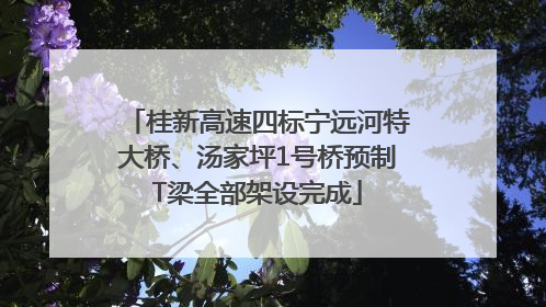 桂新高速四标宁远河特大桥、汤家坪1号桥预制T梁全部架设完成