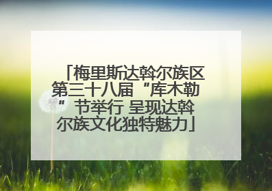 梅里斯达斡尔族区第三十八届“库木勒”节举行 呈现达斡尔族文化独特魅力