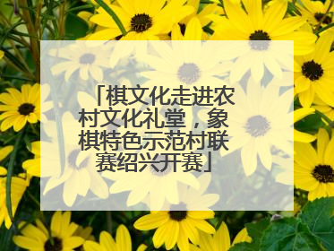 棋文化走进农村文化礼堂，象棋特色示范村联赛绍兴开赛