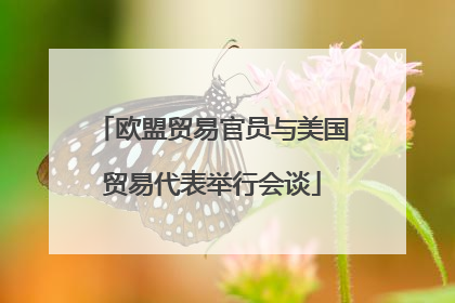 欧盟贸易官员与美国贸易代表举行会谈