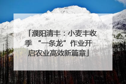 濮阳清丰：小麦丰收季 “一条龙”作业开启农业高效新篇章