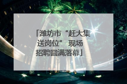 潍坊市“赶大集 送岗位” 现场招聘圆满落幕