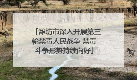 潍坊市深入开展第三轮禁毒人民战争 禁毒斗争形势持续向好