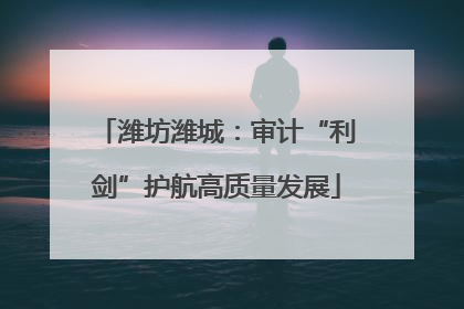 潍坊潍城：审计“利剑”护航高质量发展