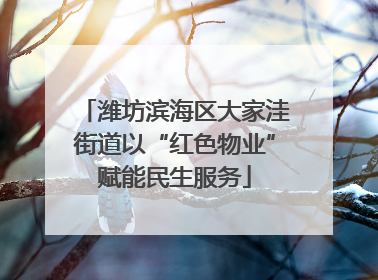 潍坊滨海区大家洼街道以“红色物业”赋能民生服务