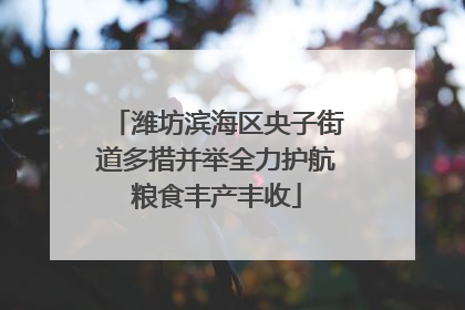 潍坊滨海区央子街道多措并举全力护航粮食丰产丰收