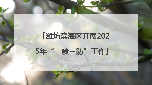 潍坊滨海区开展2025年“一喷三防”工作