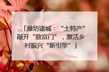 潍坊诸城：“土特产”敲开“致富门”，激活乡村振兴“新引擎”