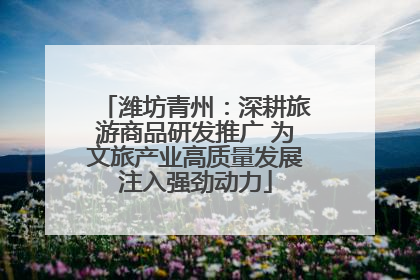 潍坊青州：深耕旅游商品研发推广 为文旅产业高质量发展注入强劲动力