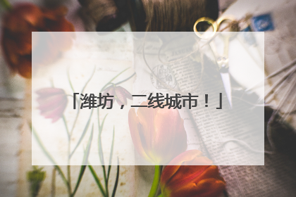 潍坊，二线城市！