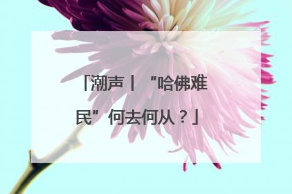 潮声丨“哈佛难民”何去何从？