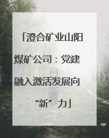 澄合矿业山阳煤矿公司：党建融入激活发展向“新”力