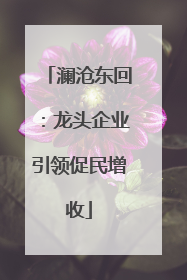 澜沧东回：龙头企业引领促民增收