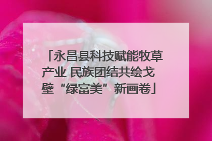 永昌县科技赋能牧草产业 民族团结共绘戈壁“绿富美”新画卷