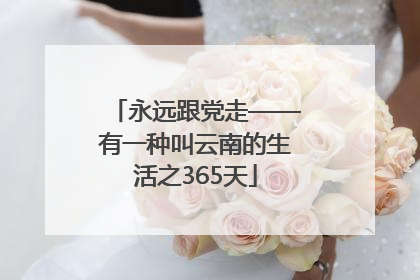 永远跟党走——有一种叫云南的生活之365天