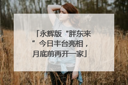 永辉版“胖东来”今日丰台亮相，月底前再开一家