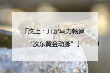 汶上：开足马力畅通“汶东黄金动脉”