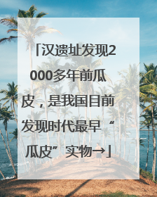 汉遗址发现2000多年前瓜皮，是我国目前发现时代最早“瓜皮”实物→