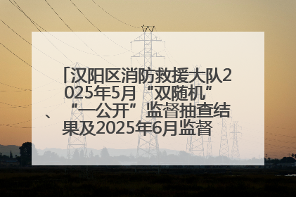 汉阳区消防救援大队2025年5月“双随机”、“一公开”监督抽查结果及2025年6月监督抽查任务公示