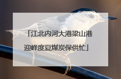 江北内河大港梁山港迎峰度夏煤炭保供忙