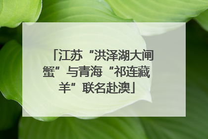 江苏“洪泽湖大闸蟹”与青海“祁连藏羊”联名赴澳