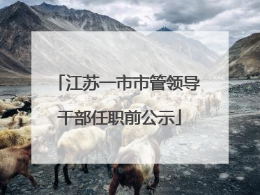 江苏一市市管领导干部任职前公示