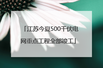 江苏今夏500千伏电网重点工程全部竣工