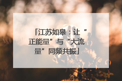 江苏如皋：让“正能量”与“大流量”同频共振